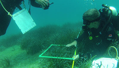 photo of ICEP Field School students training underwater