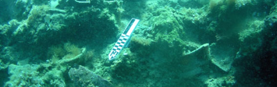 photo of Butrint III site