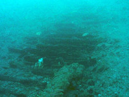 photo of wooden ship remains at site AB10-AC