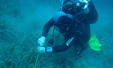 Survey diver examines the seafloor