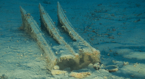 Egadi Island 2012 Field Season